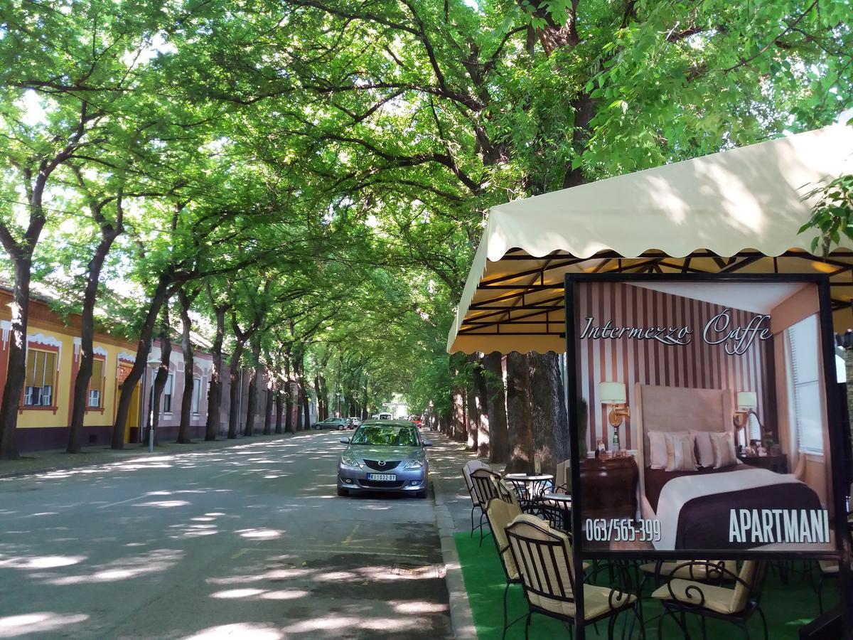 Bed&Breakfast Intermezzo Caffe Kikinda Dış mekan fotoğraf